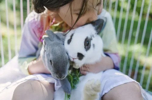 Une petite fille tient ses deux lapins dans ses bras.