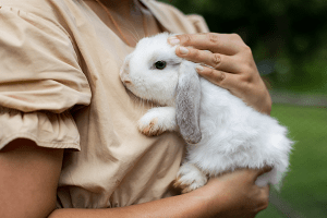 Une fille fait un câlin à son lapin blanc.