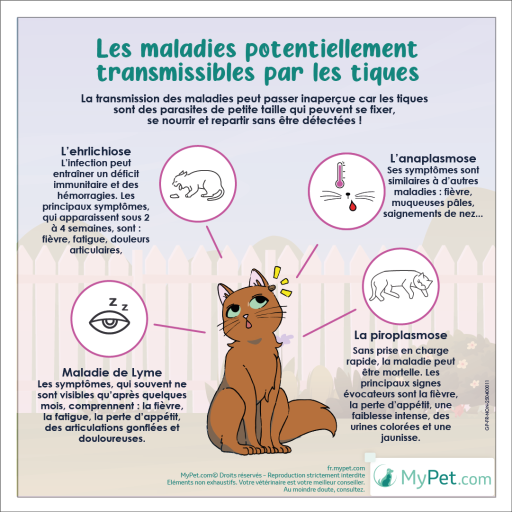 maladies transmissibles par les tiques