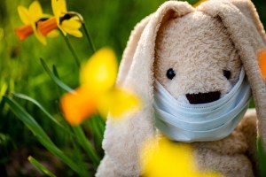 Poupée lapin portant un masque