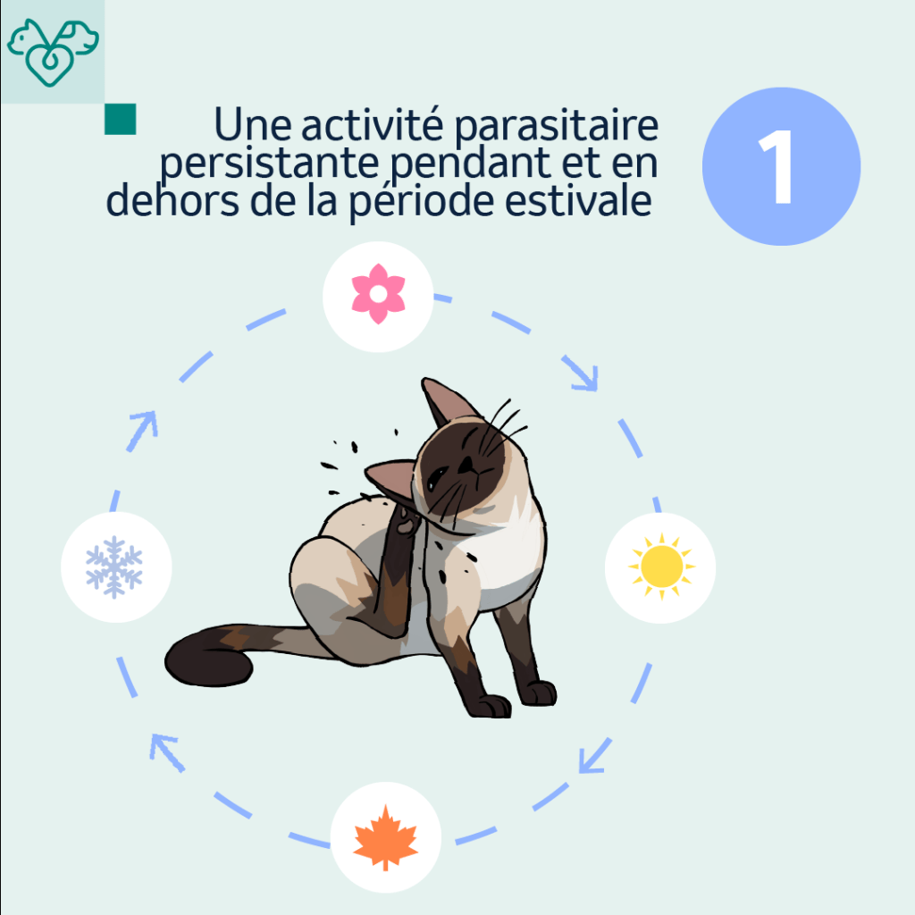 réchauffement climatique chat impacts