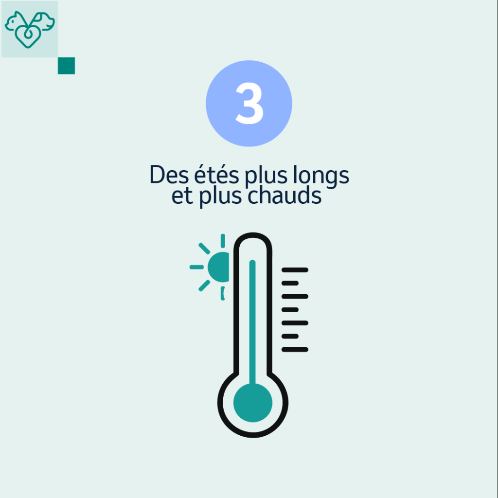 réchauffement climatique chats impactés
