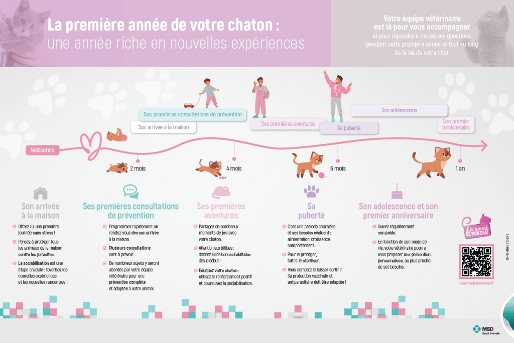 La première année de votre chaton