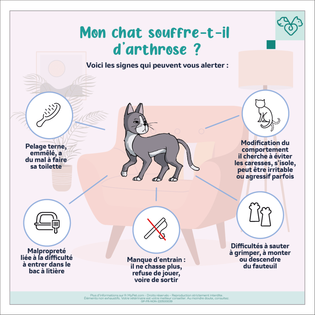 symptômes de l'arthrose chez le chat