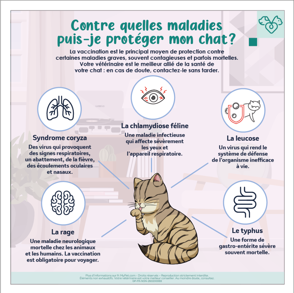 vaccination chat contre quelles maladies 