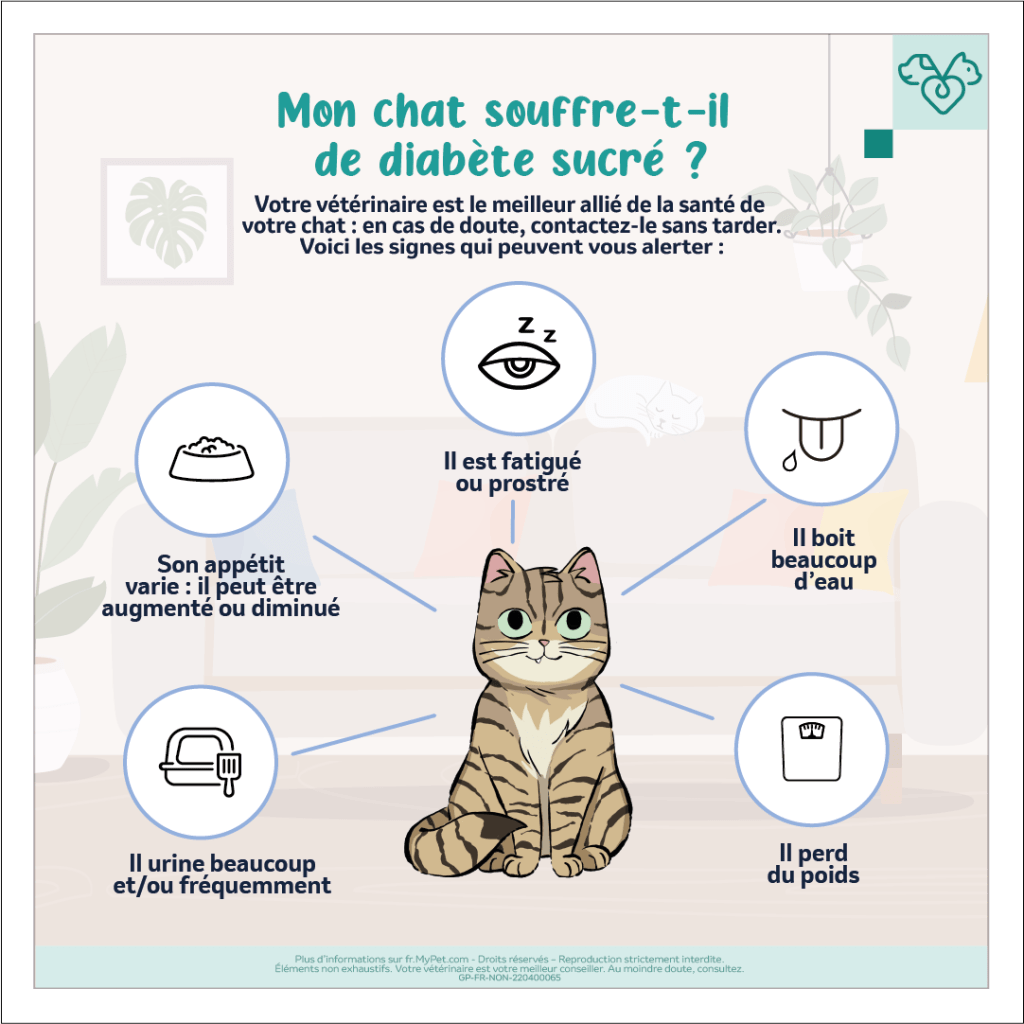 symptomes du diabète chez le chat