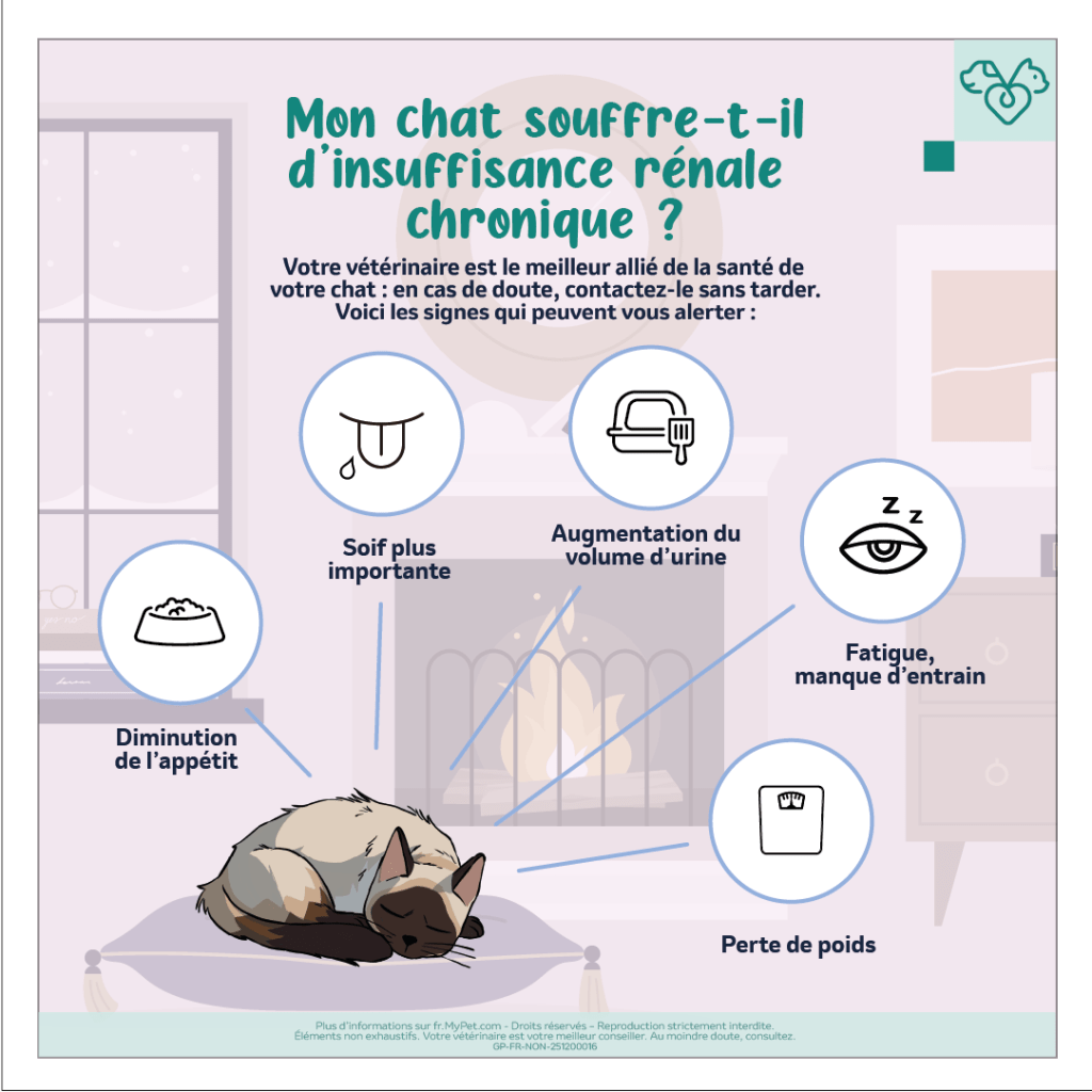 symptômes insuffisance renale chronique chez le chat