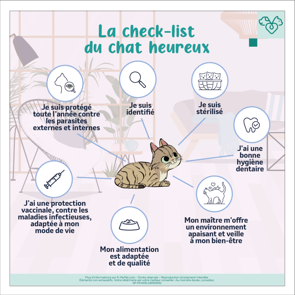 signes chat heureux