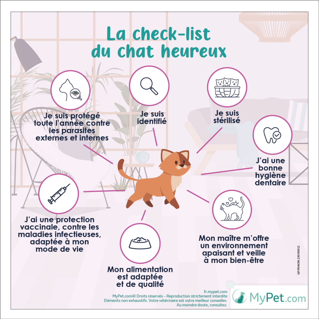 chat-heureux-signes