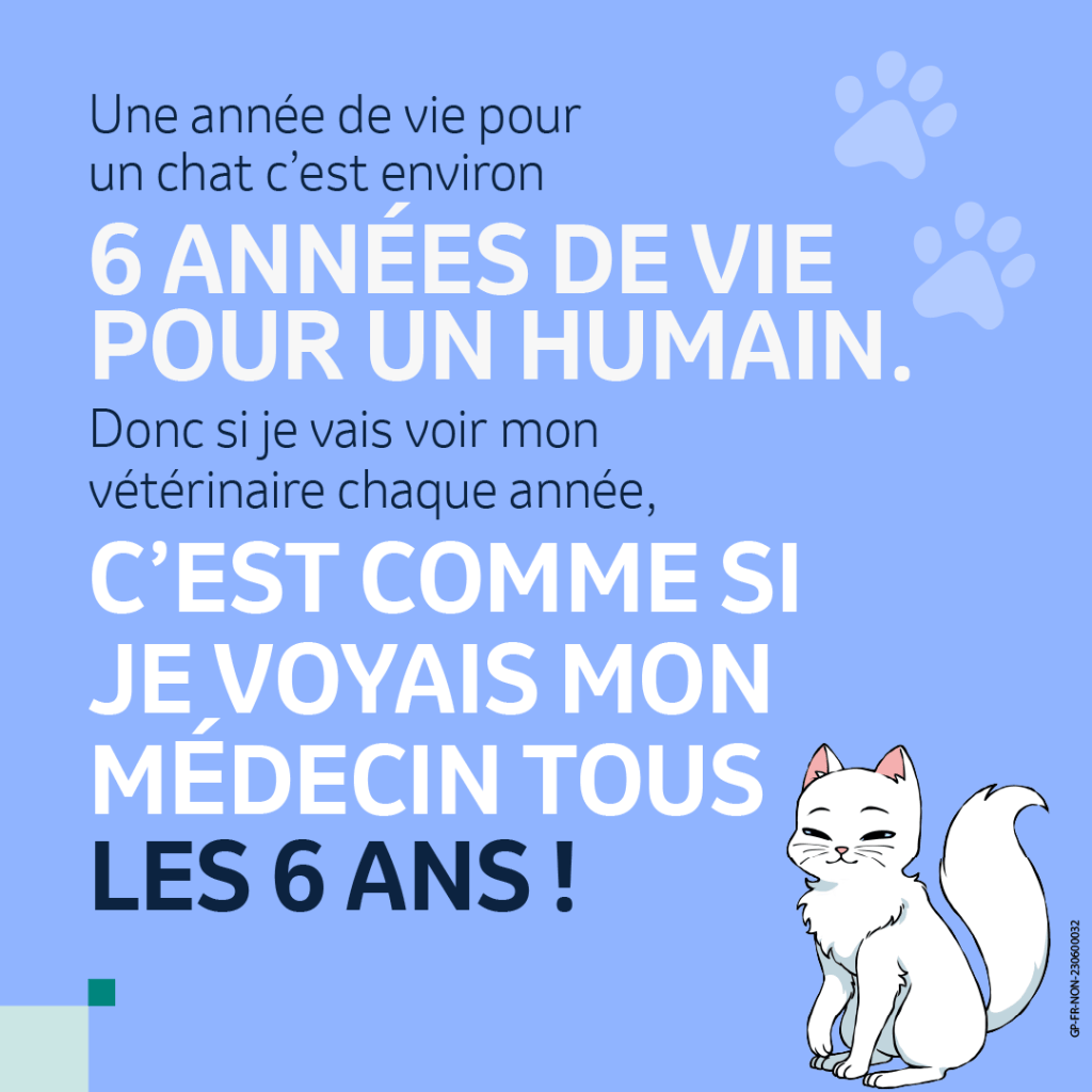 chat visite vétérinaire quand