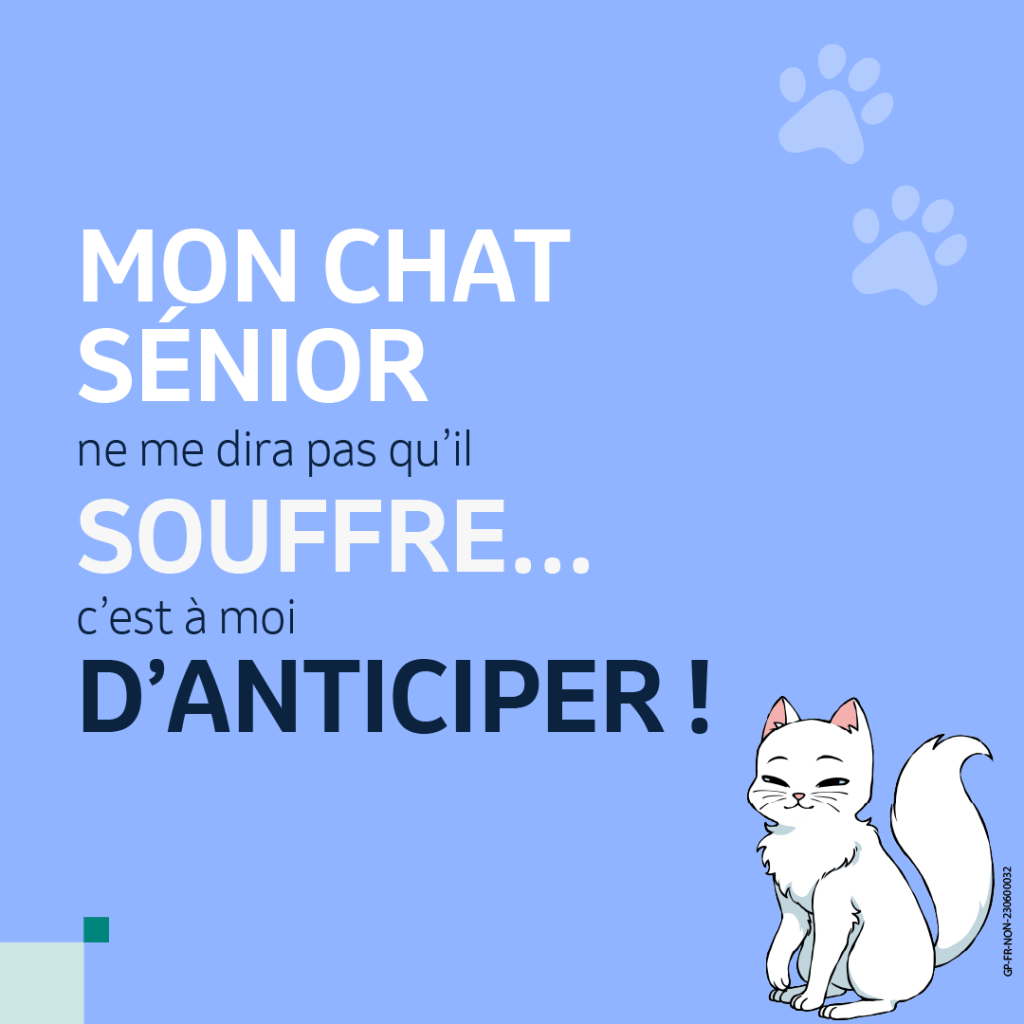 maladie chat âgé