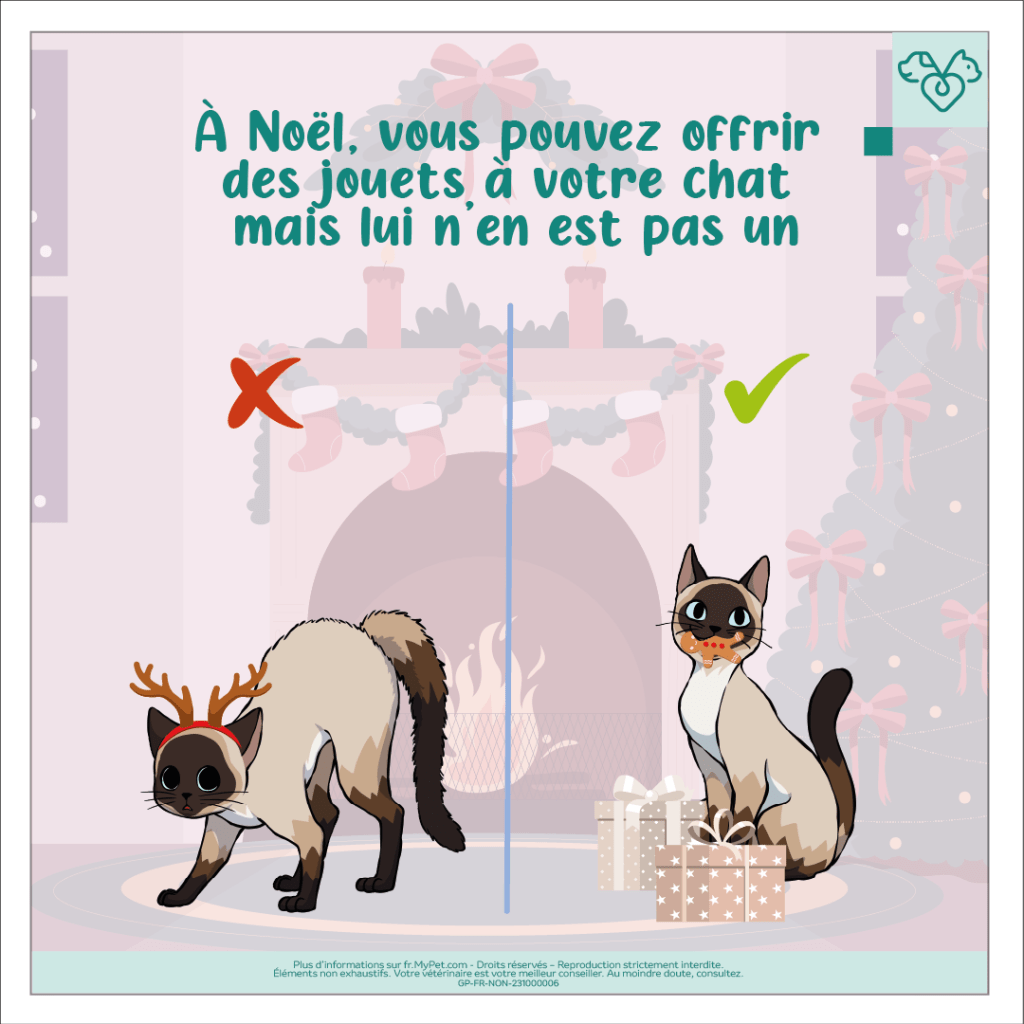 jouet pour chat noël