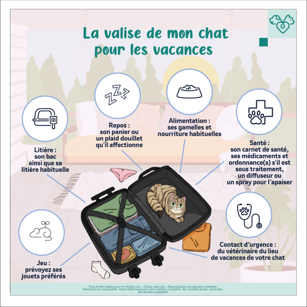 que mettre dans la valise de mon chat pour les vacances