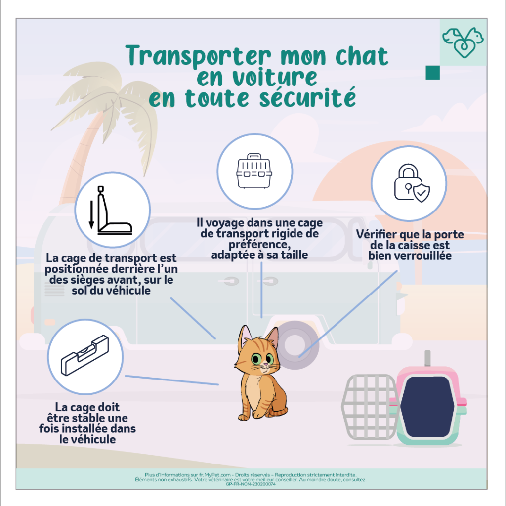 transporter son chat en voiture. Comment transporter mon chat en voiture ?