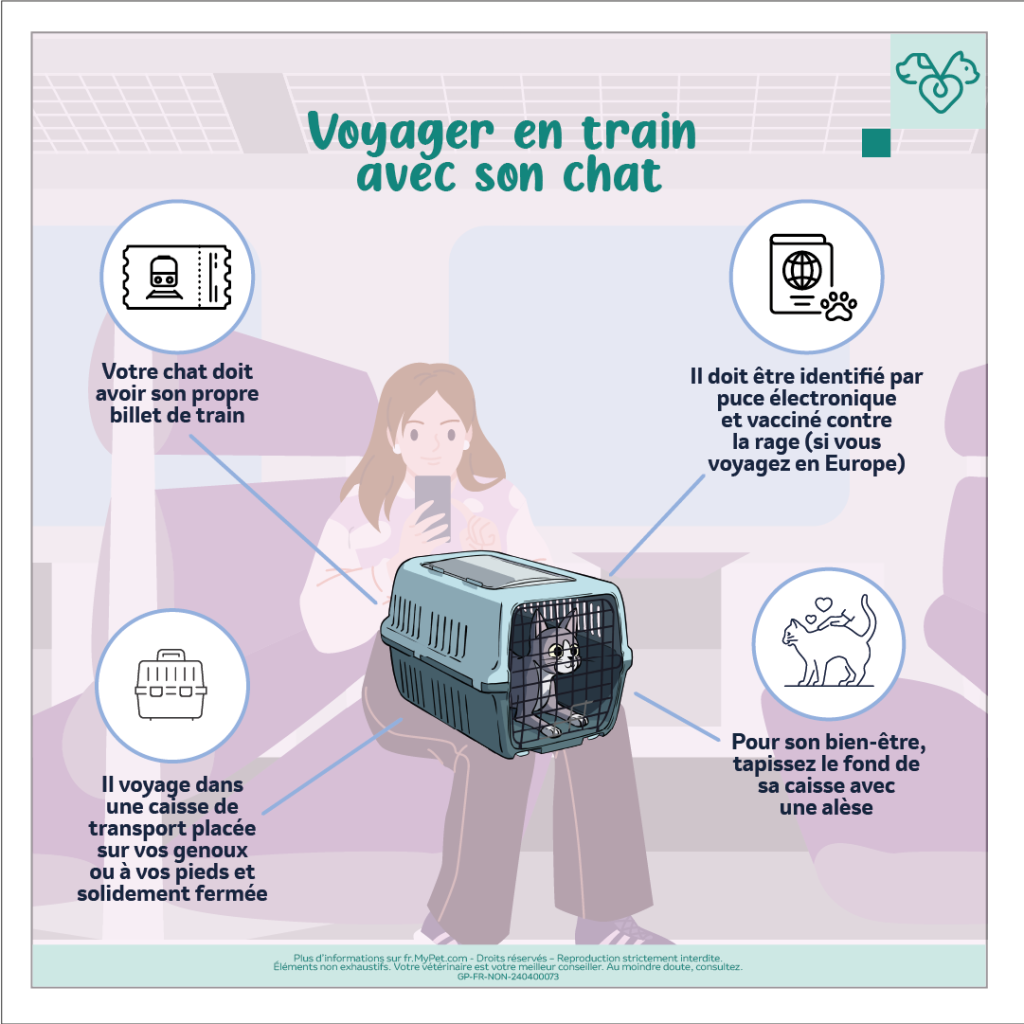 formalités de voyage avec son chat en train