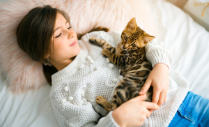 chat pas un jouet