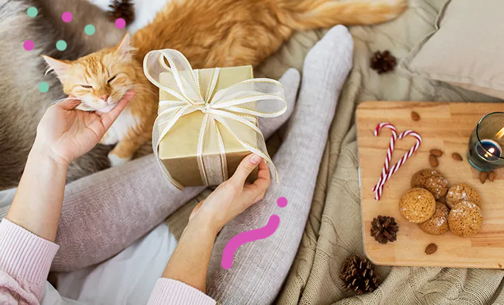 cadeau de noël pour chat