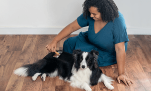 femme qui brosse son chien