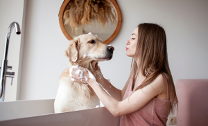 femme qui douche son chien