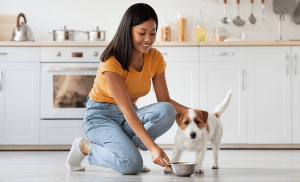 femme qui s'occupe de l'alimentation de son chien