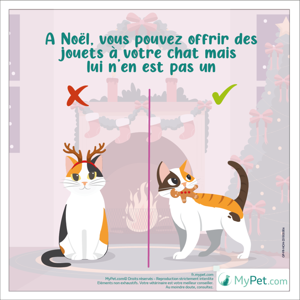 chat-cadeau-noel