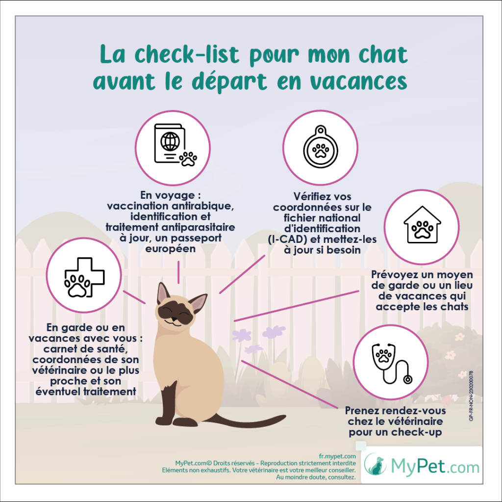 to do list vacances chat