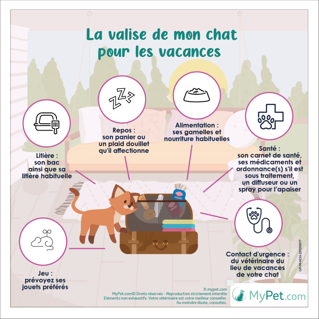 valise chat vacances