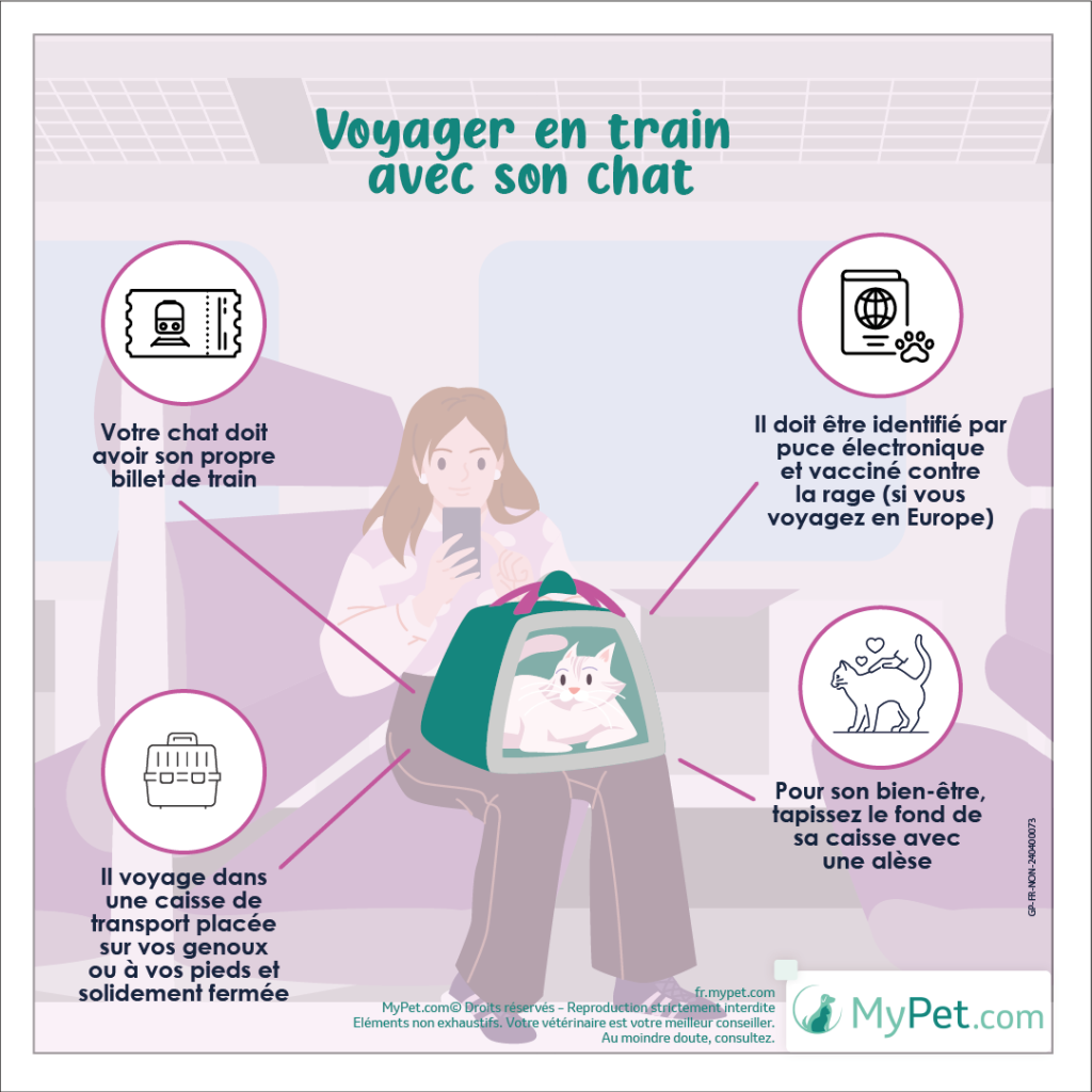 formalités de voyage avec son chat en train