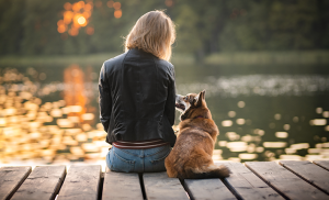 rendre mon chien heureux