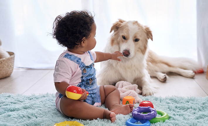 enfant en bas âge qui touche son chien