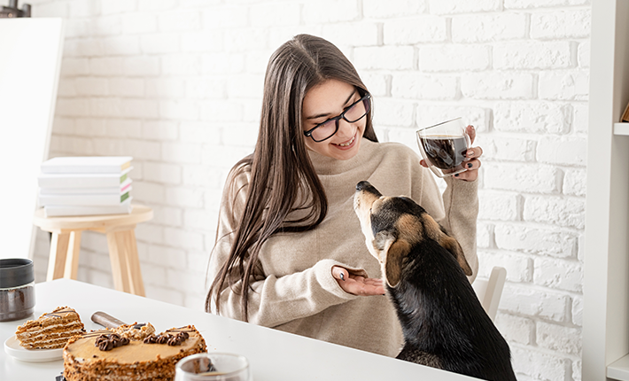 chien qui va se brûler avec du café