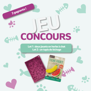 jeu concours MyPet chat