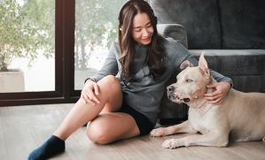 vivre avec un chien de catégorie