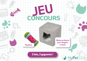 Concours Facebook MyPet chat septembre 2024