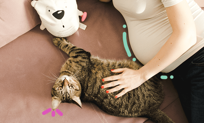 chat femme enceinte