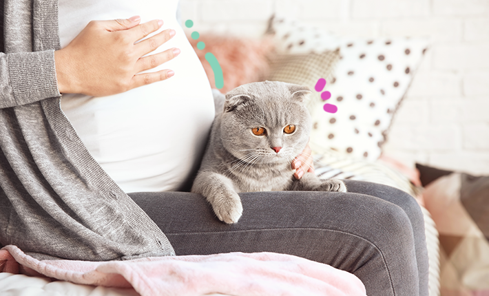 Toxoplasmose : j’ai un chat, quelles mesures de précaution dois-je prendre ?