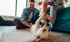 accueil d'un chiot joueur à la maison