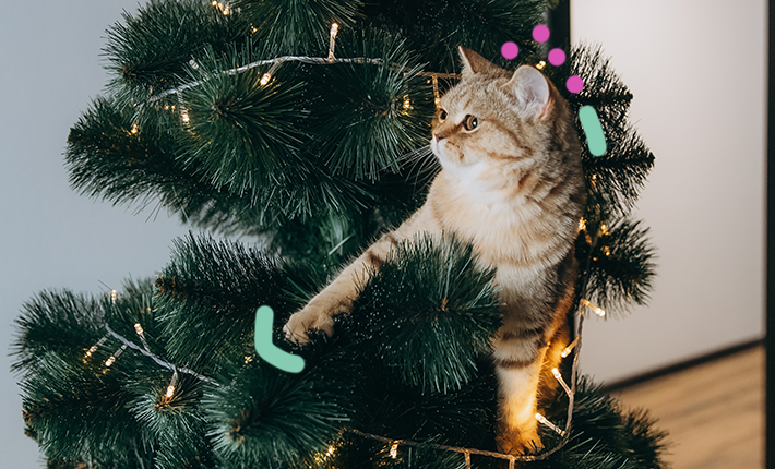 chat dans un arbre de Noël