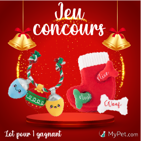 jeu concours noel 2024