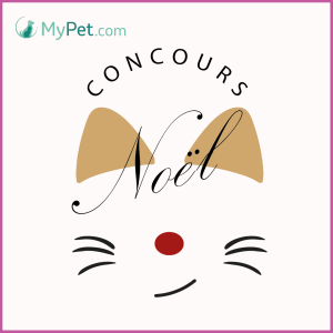 concours noel