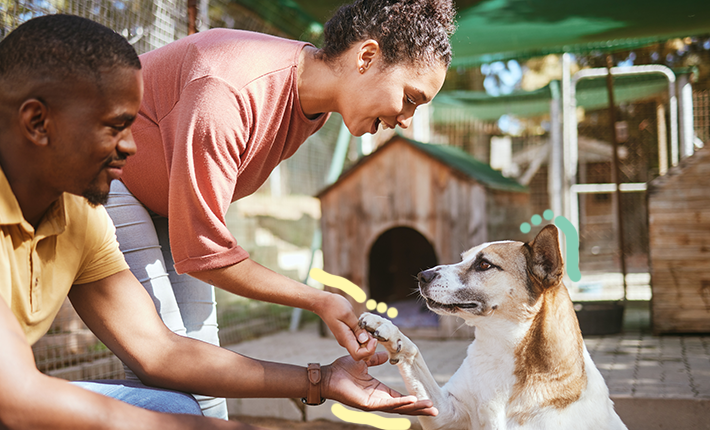 chien avec un homme et une femme