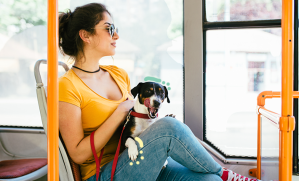 chien assis sur les genoux d'une femme