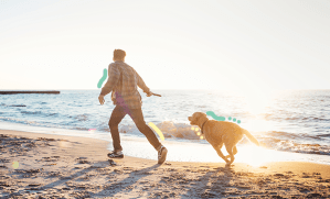 chien et homme jouant sur la plage