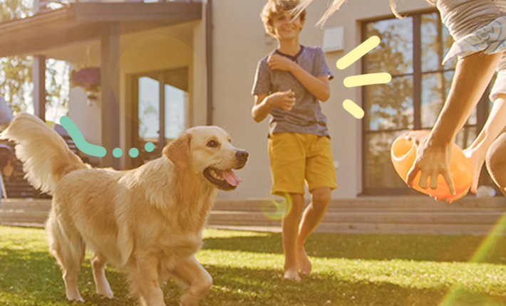 golden retriever jouant avec des enfants