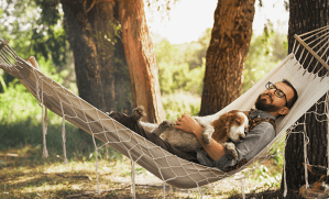 chien et homme au repos