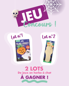 Concours halloween chat