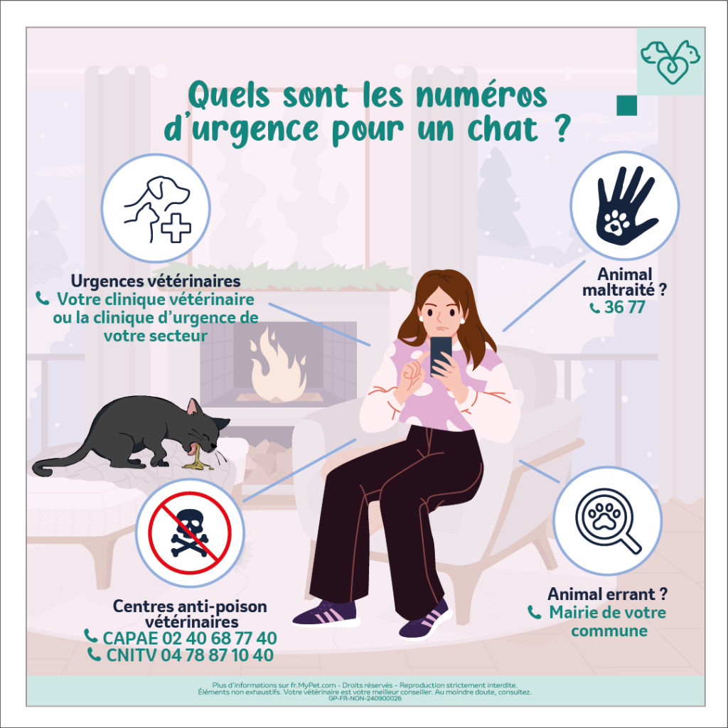 NUMEROS URGENCES CHAT