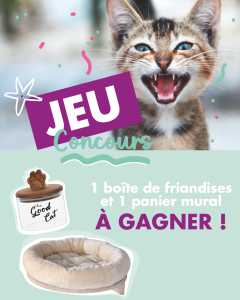 jeu-concours-mypet-chat