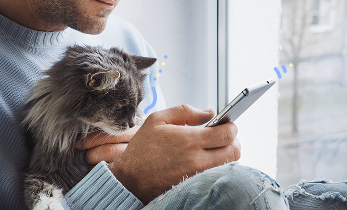 médicaments vétérinaires animaux