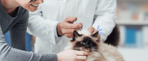 vaccin chat : faut-il le faire ?